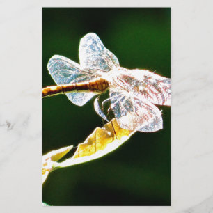 Papeterie libellule transparente