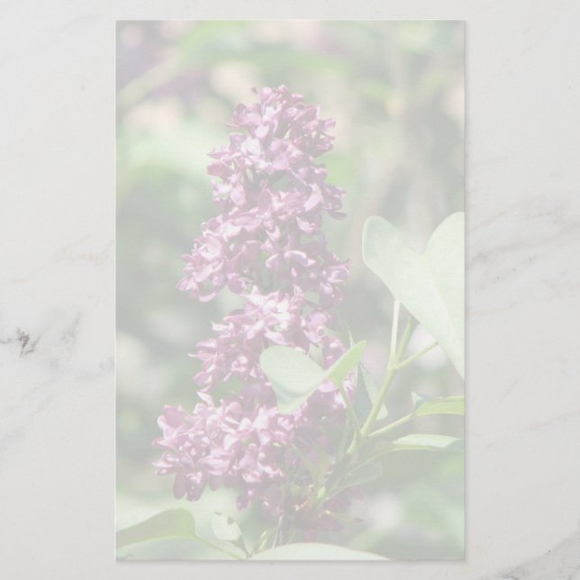 Papeterie Lilas doux (Devant)