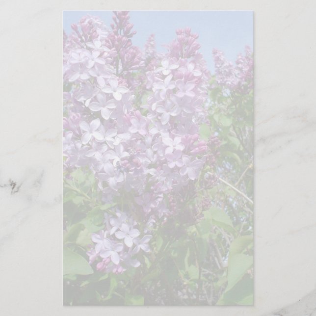 Papeterie Lilas pourpres Fade25 (Devant)
