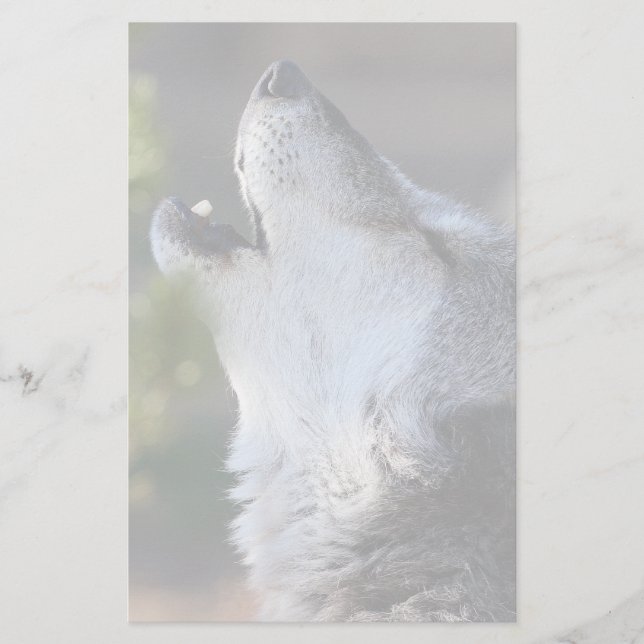 Papeterie loup (Devant)