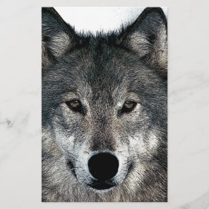 Papeterie Loup Gris