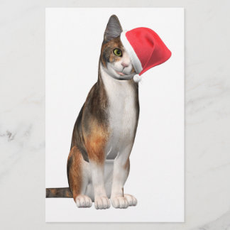 Papeterie Meowy Noël avec un chat ludique dans un casquette