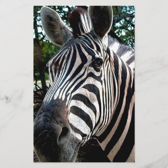 Papeterie Mon ami trippé (Devant)