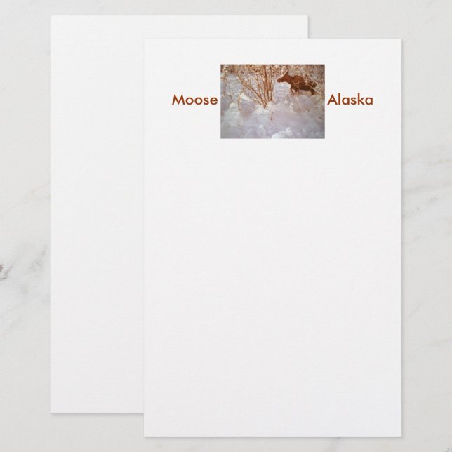 Papeterie Moose in Alaska Stationery (Devant / Derrière)