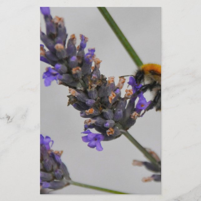 Papeterie Natures de merveilleux travailleurs (Devant)