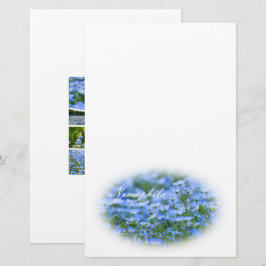 Papeterie NEMOPHILA（Baby Blue Eyes）