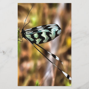 Papeterie Nemoptera bipennis L'art des insectes à ailes cuil