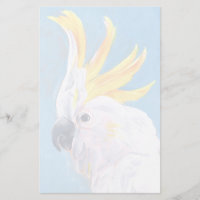 Neon Mohawk - Cockatoo