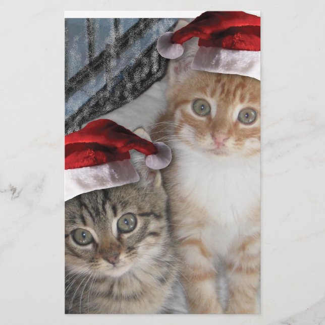 Papeterie Noël Tabby Kittens (Devant)