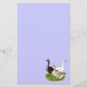 Papeterie Oies : Trio Tufted