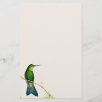 Oiseaux de colibri Fleurs Flore Animaux sauvages