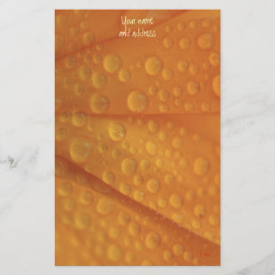 Papeterie orange fizzé