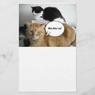 Papeterie Orange Tabby Cat Je suis désolé