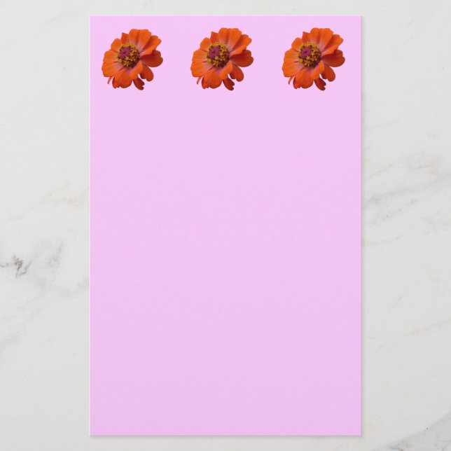 Papeterie Orange Zinnia Fleur sauvage Nature Florale (Devant)