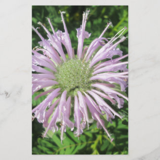 Papeterie Palme d'abeille violette