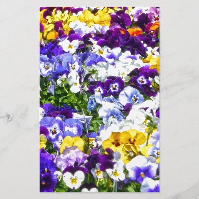 Papeterie Pansies (Devant)