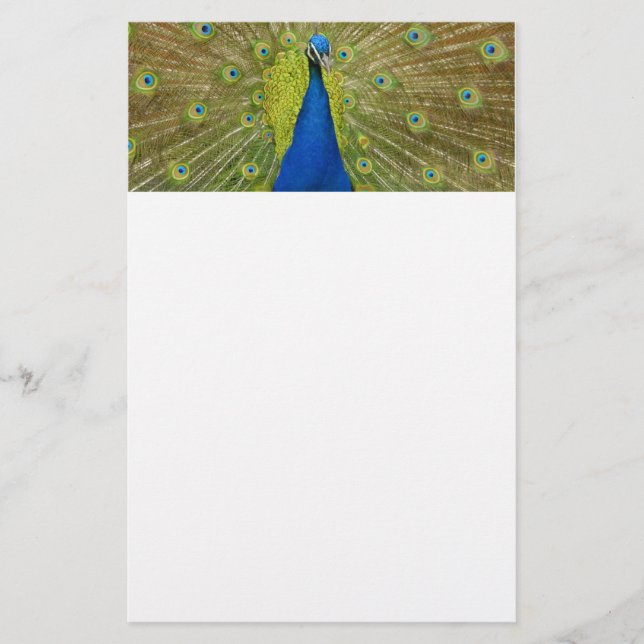 Papeterie Paon stationnaire (Devant)