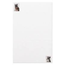 Papier à l'air Schnauzer stationnaire