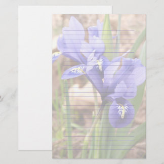 Papeterie Papier à lettres à motifs floraux en fer nain viol