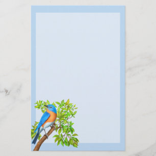 Papeterie Papier à lettres pour oiseaux sauvages de l'Est