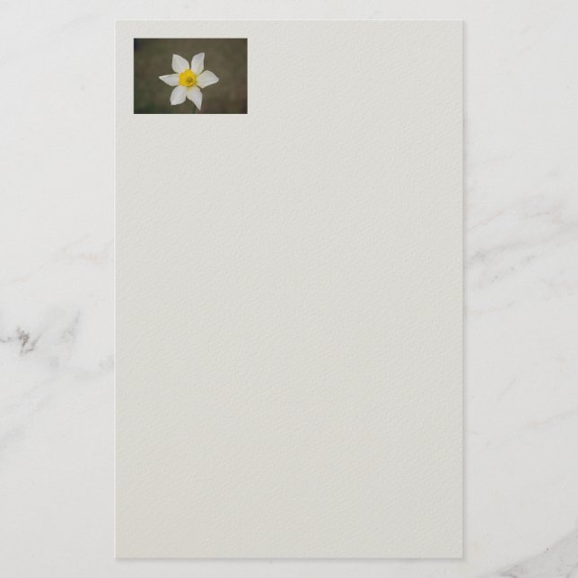 Papeterie Papier à lettres Springtime (Devant)