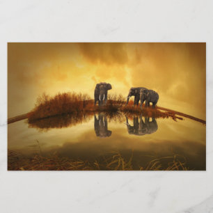 Papeterie Papier à scandale pour éléphants