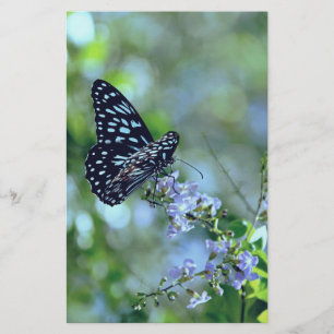 Papeterie Papillon noir et bleu