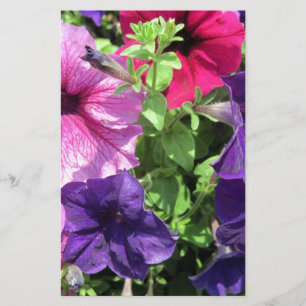 Papeterie Petunias colorées