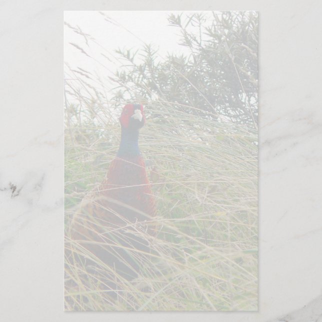 Papeterie Pheantastic (Devant)