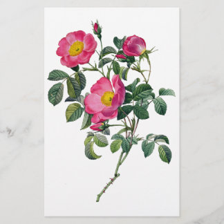 Papeterie Pierre Joseph Redoute Roses