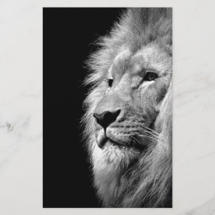 Papeterie Portrait de Lion Noir Blanc - Photographie Animali