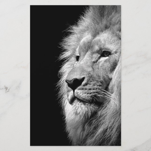 Papeterie Portrait de Lion noir blanc - Photographie d'anima (Devant)
