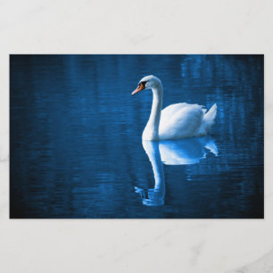 Papeterie Pretty white swan floating on blue lake