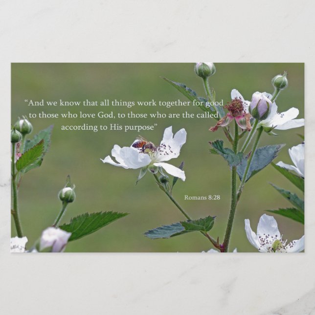 Papeterie Romains 8:28 (Devant)