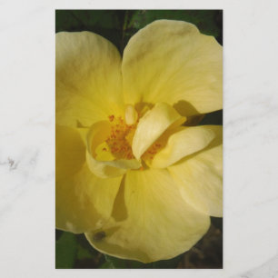 Papeterie Rose jaune sauvage