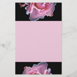 Papeterie Rose magnifique de rose sur le noir