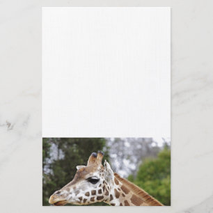 Papeterie Safari Afrique Mod Chic Classy Destiny Giraffe