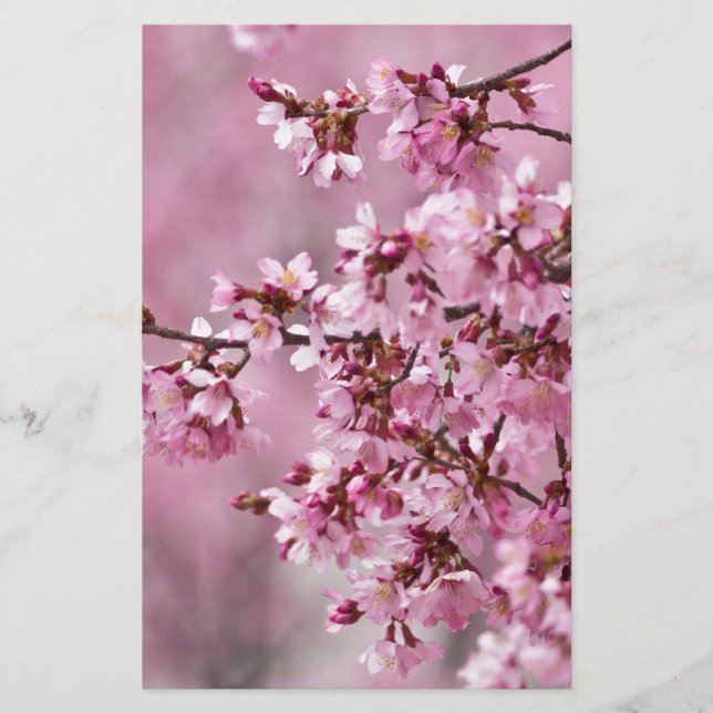 Papeterie Sakura Cherry Blossoms Pastel Pink Layers (Devant)