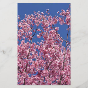 Papeterie Sakura Cherry Fleurit Dans Le Bleu