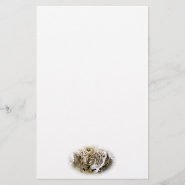 PAPETERIE SHEEP (Devant)