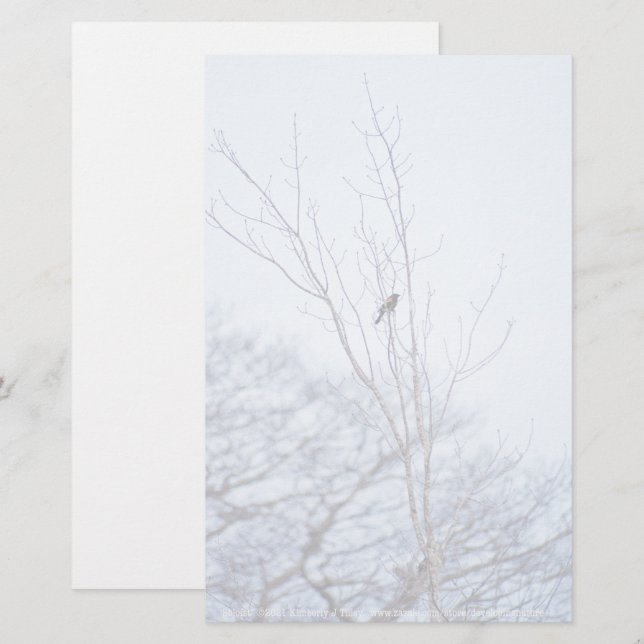 Papeterie Soliste (Devant / Derrière)