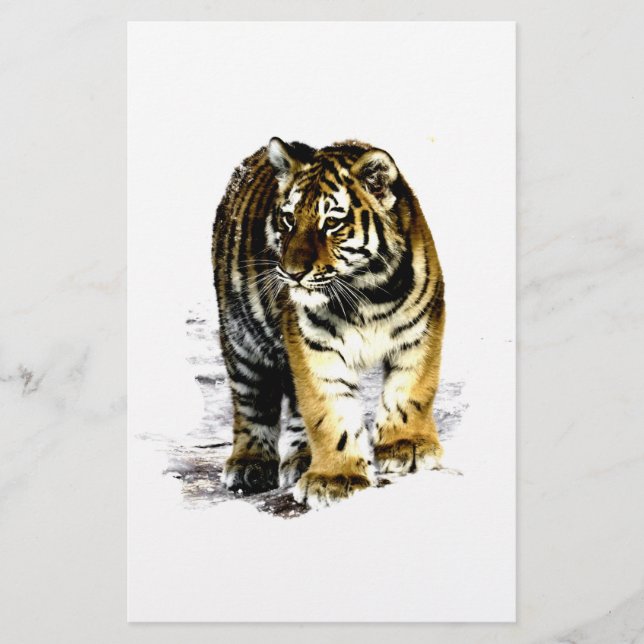 Papeterie Tigre (Devant)
