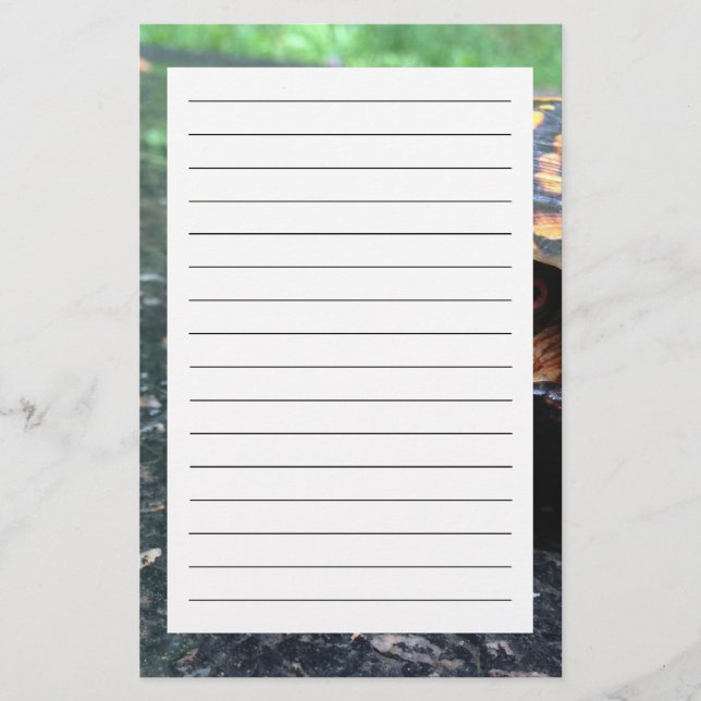 Papeterie Tortue (Devant)