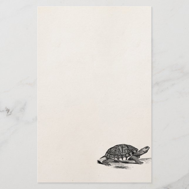 Papeterie Tortue de boîte américaine vintage - modèle de (Devant)
