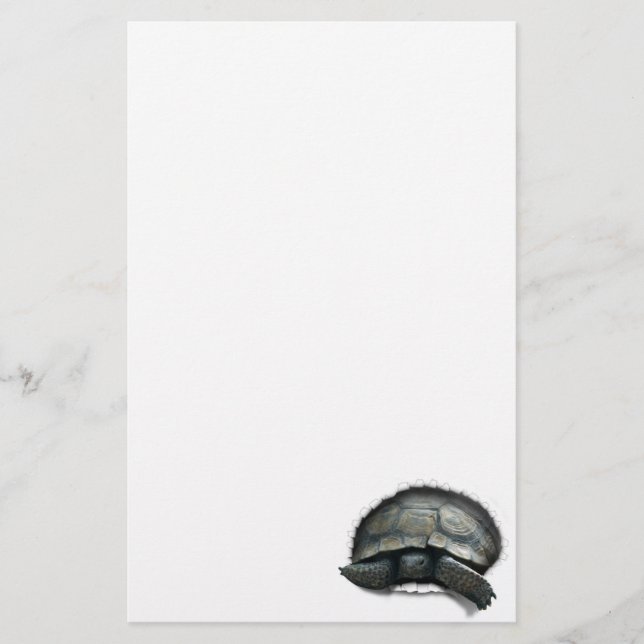 Papeterie Tortue du désert qui sort (Devant)