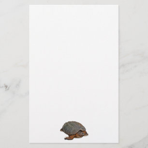 Papeterie Tortue serpentine Terrapin-lover Cadeau