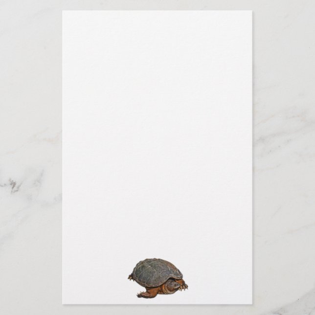 Papeterie Tortue serpentine Terrapin-lover Cadeau (Devant)