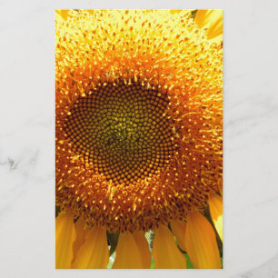 Papeterie Tournesol de mammouth jaune géant