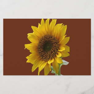 Papeterie Tournesol en papier stationnaire