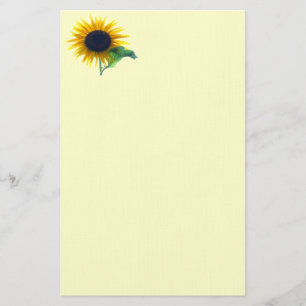 Papeterie Tournesol en pleine floraison